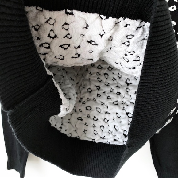 Cheetah Print Sweater - Picture 5 of 6